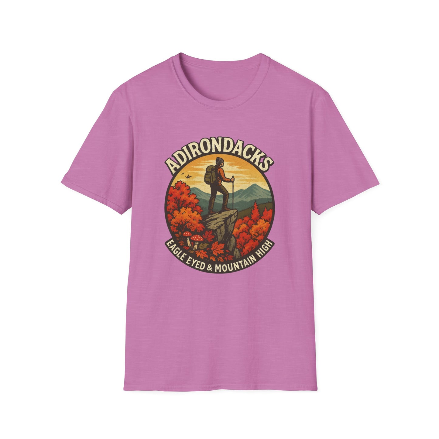 Adirondack Adventure Softstyle Hiking Tee - "Eagle Eyed & Mountain High"