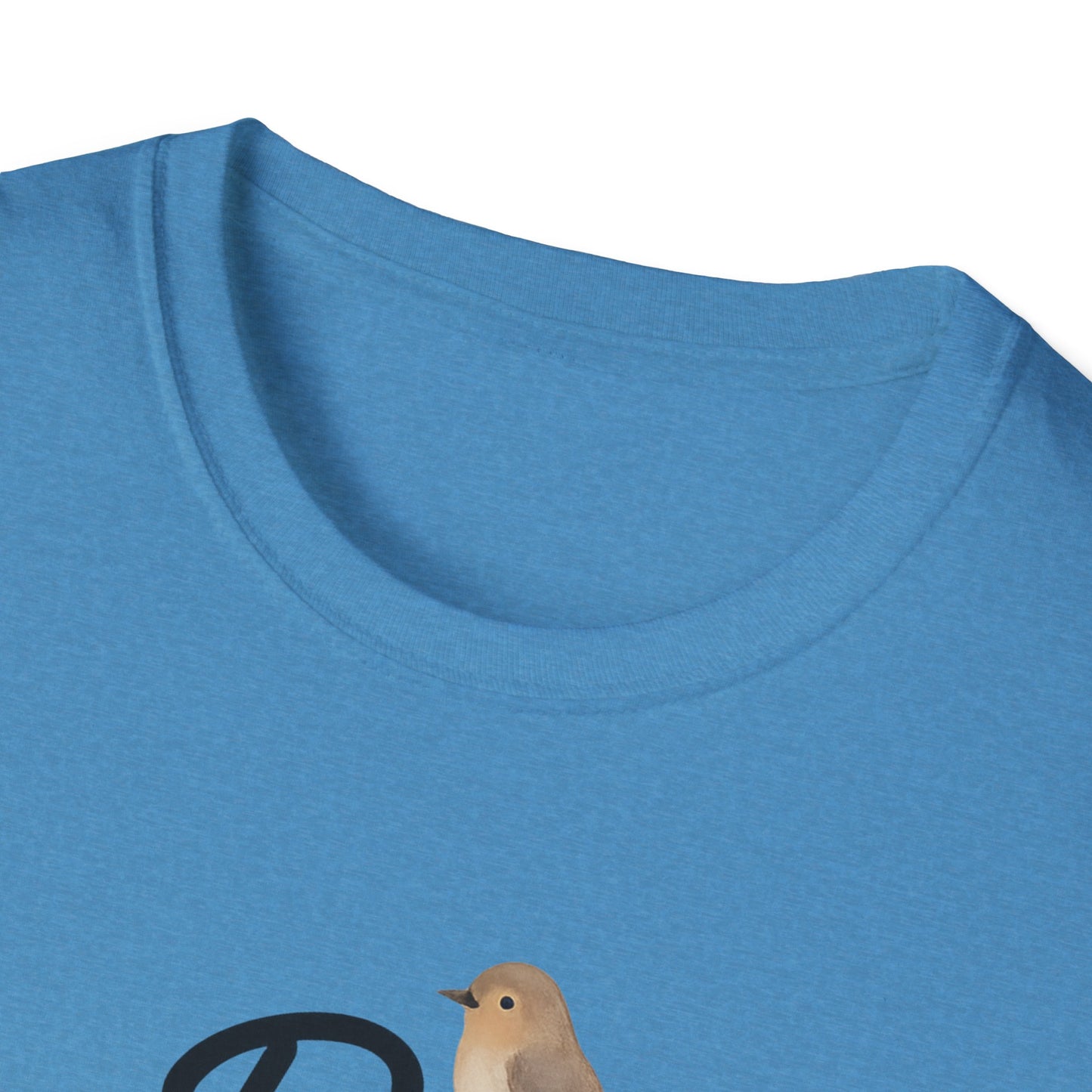 "Be Kind" Softstyle Casual Inspirational Tee-Shirt