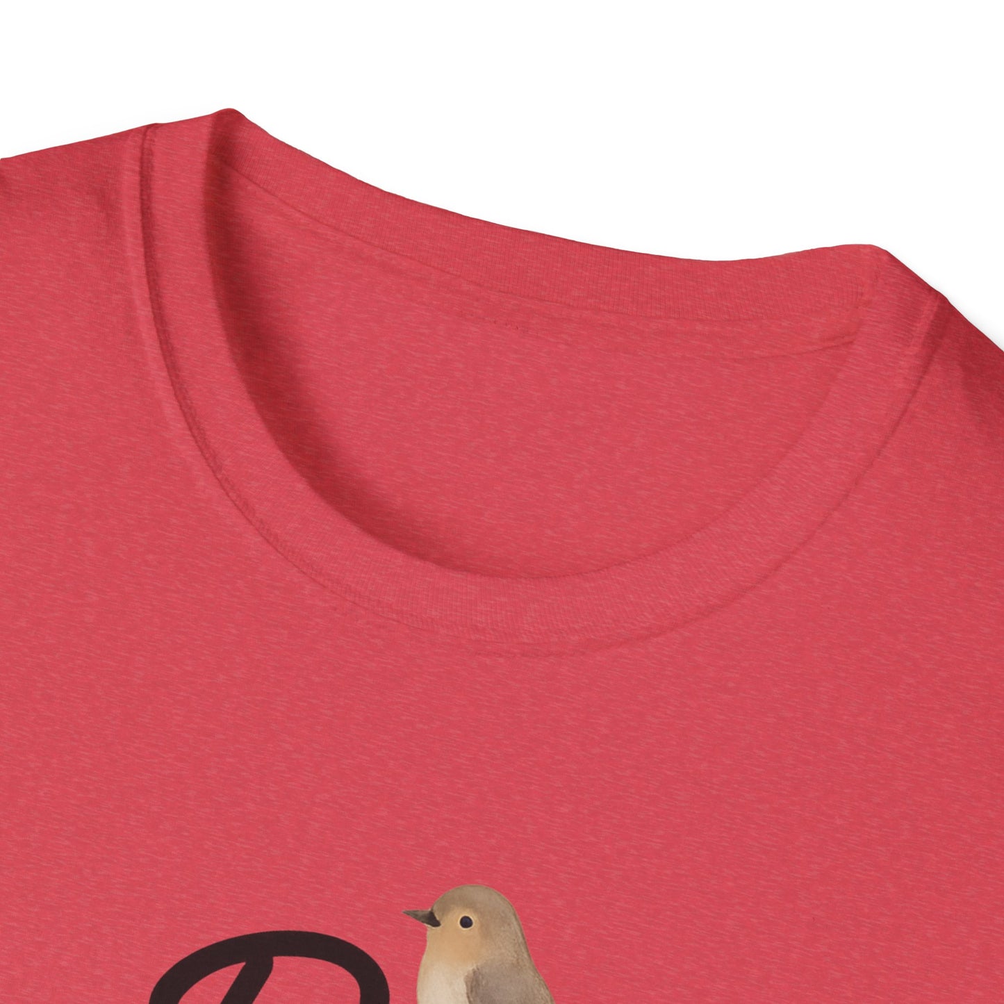 "Be Kind" Softstyle Casual Inspirational Tee-Shirt