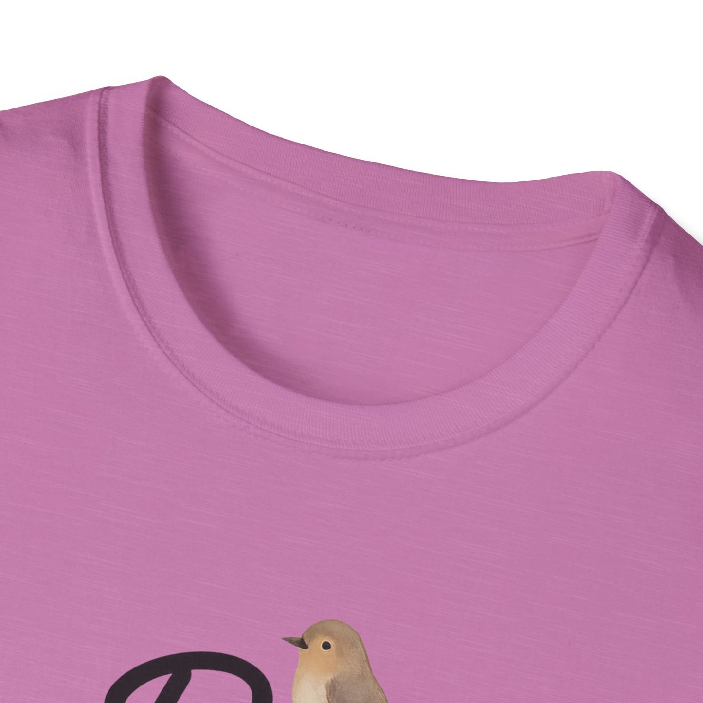 "Be Kind" Softstyle Casual Inspirational Tee-Shirt